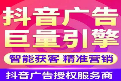 信息流广告代理案例对比分析