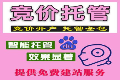 社交平台信息流竞价广告的投放策略与效果
